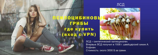 дмт Алексин