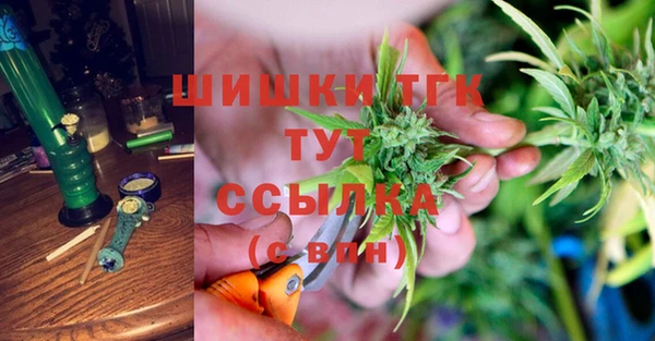 дмт Алексин