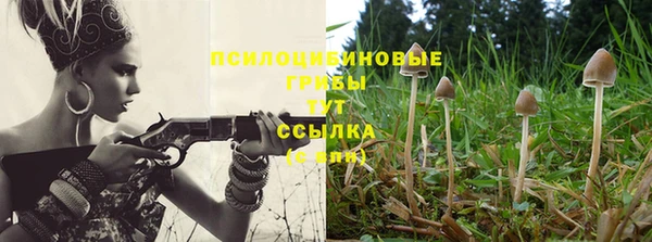 дмт Алексин