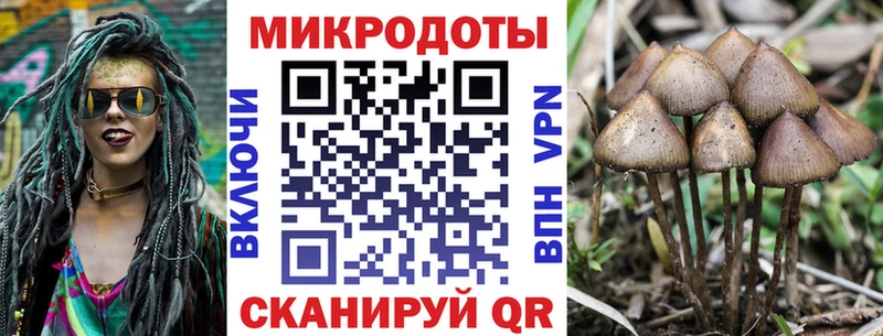 Псилоцибиновые грибы мухоморы Фурманов