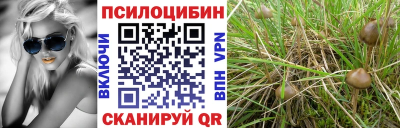 Псилоцибиновые грибы Psilocybine cubensis  Фурманов 