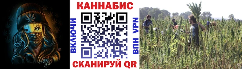 Бошки Шишки планчик Фурманов